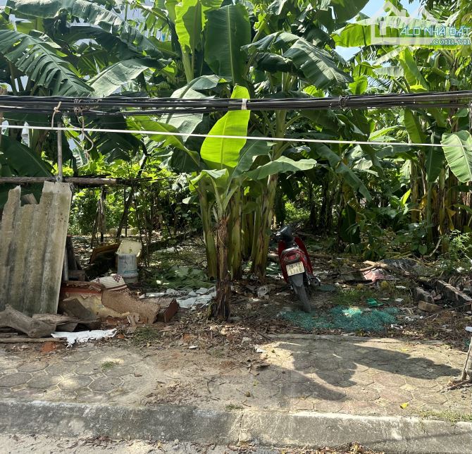 Rẻ nhất , Phúc Thịnh , Đông Anh 98m2 x MT5.5m , ô tô tránh - giá tốt 8.6 tỷ - 1