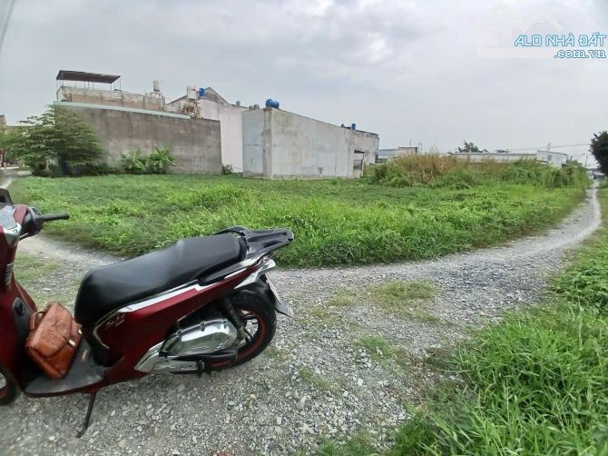 4,2 tỷ 💢 Đất nền  góc 1/ Gò Hưu,Mỹ Hạnh Nam, Đức Hoà  -  19x20 full 376 m2 thổ cư 💯 - 1