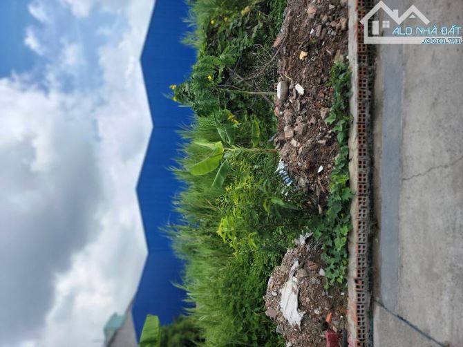 Đất Thổ Cư đường THẠNH XUÂN 37, phường THẠNH XUÂN, Q12, dt 100,4m2 (4mx25m), Hẻm Ôtô - 1
