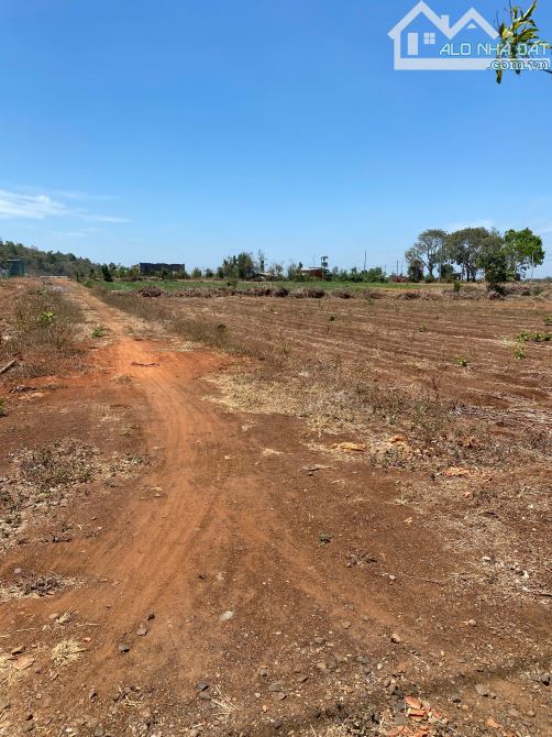 Cần bán 33.065m2 đất 2 mặt tiền hiếm hoi, sẵn 300m2 thổ cư, phủ hồng, giá đầu tư - 1