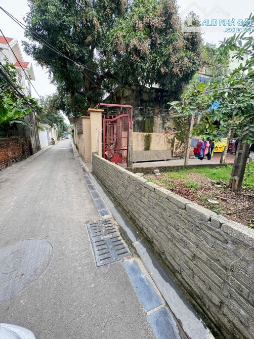 BÁN ĐẤT ĐẸP – GIÁ TỐT – VỊ TRÍ TIỀM NĂNG CAO TẠI MAI LÂM 🏠 49m² - 1