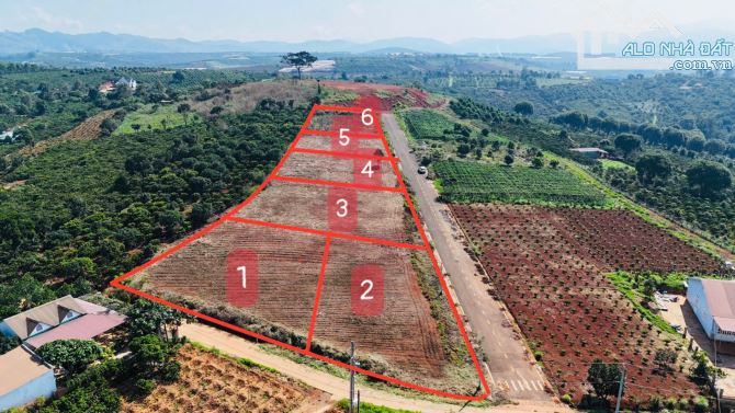 🔥 CHỈ 1,3 TỶ – SỞ HỮU NGAY 1000M² ĐẤT ĐẸP VEN ĐÀ LẠT‼️ - 1
