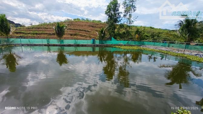 BÁN LÔ ĐẤT NHÀ VƯỜN GIÁP SUỐI ĐẸP TẠI KHÁNH PHÚ - KHÁNH VĨNH - 14