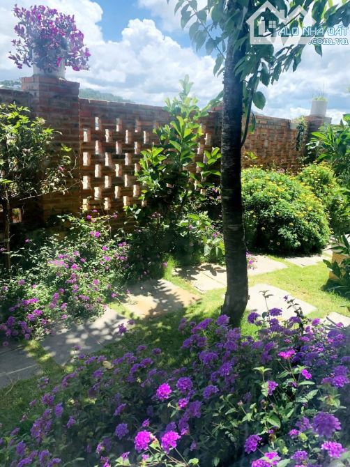 Cần bán Villa/ Biệt Thự Nhà Hẻm Xe Hơi, đường Cù Chính Lan, P.08, Đà Lạt - 14
