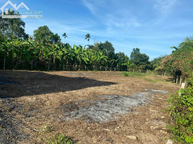 Cần bán lô đất full thổ cư thích hợp xây biệt thự vườn