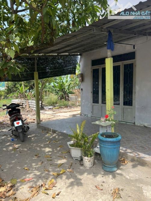 🔥Chủ bán hơn 4 Tỷ DT 1.126m2 thổ cư 300m2 đường xe Tải/ có vườn cây ăn trái xã Trung An - 2