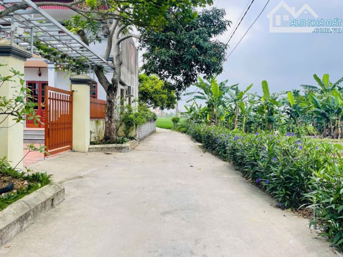 Bán đất Thấp Linh - Minh Tân - Kiến Thụy - Hải Phòng - 2