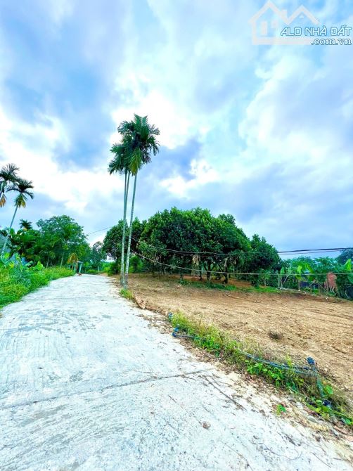 Đất xây nhà vườn hòa ninh 2 mặt kiệt, 500m2 có 120m2 đất ở - 2
