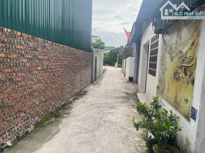 Cần bán lô đất ngõ phố đặng tất ngõ đỗ được 5-6 ô tô, hải dương - 2