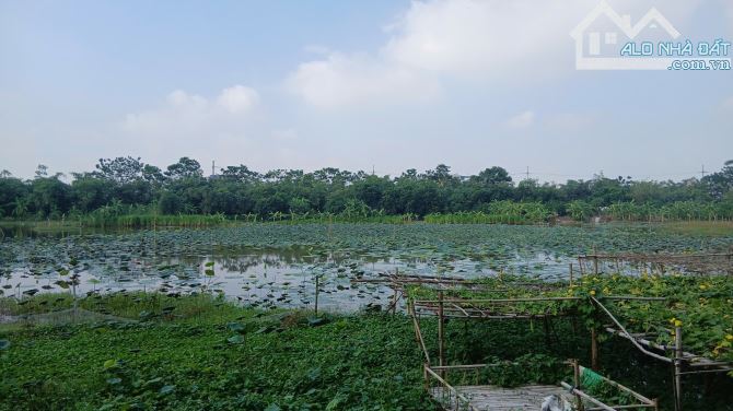 💥 THƯỢNG CÁT – NHÀ ĐẸP VIEW THOÁNG – ĐƯỜNG 6M – SÂN RỘNG - 2
