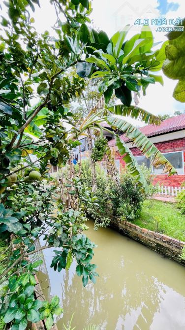 KHU NHÀ VƯỜN NGHỈ DƯỠNG RẤT ĐẸP TẠI MỸ KHÁNH CẦN THƠ - 2