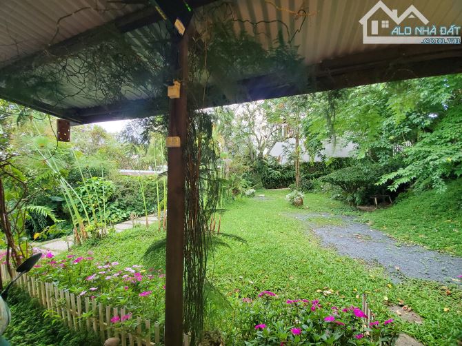 30TỶ - 300M2 - QUANG TRUNG - P. LÂM VIÊN ĐÀ LẠT - 2