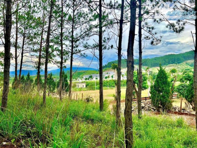 ĐẤT NGHỈ DƯỠNG GIÁP RỪNG THÔNG 15 TUỔI KHÓ TÌM ĐÂY - CÁCH ĐÀ LAT CÓ 15P - CÓ 242M2 THỔ CƯ - 2