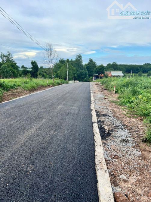 Mua ngay đất TPHCM với giá siêu rẻ sau khi sát nhập - 2