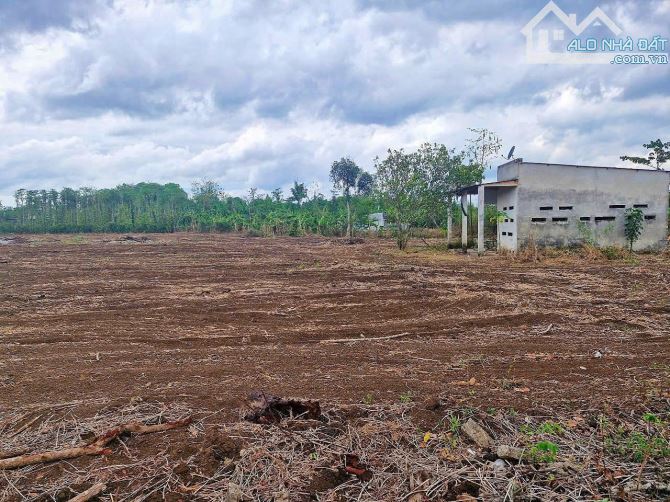 Cần bán 4.717m2, phủ hồng, mặt tiền đến 87m, sau lưng giáp suối, giá đầu tư - 2