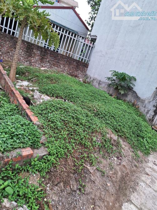 BÁN ĐẤT TRỤC CHÍNH BIÊN GIANG – 30M² – XE CÔNG VÀO TẬN NƠI – 3.1 TỶ - 2