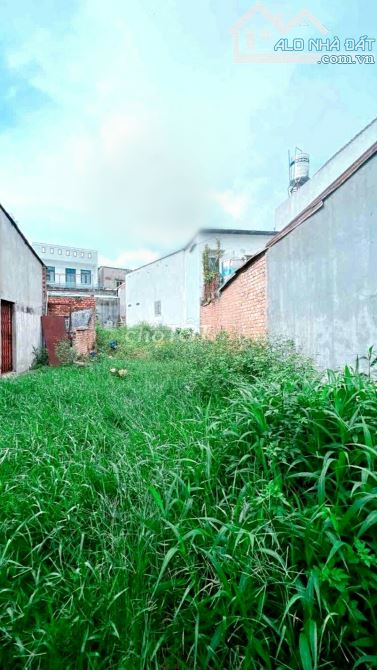 BÁN ĐẤT TAM HÒA SỔ HỒNG RIÊNG 235m2 THỔ CƯ ĐƯỜNG RỘNG 5m THÔNG GẦN GIÁO XỨ BÙI THÁI (D081) - 2
