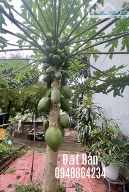 ĐẤT ĐẸP CẦN TÌM CHỦ MỚI-MAI LÂM-ĐÔNG ANH-Ô TÔ VÀO TẬN CỬA-DT 51M2-MT3.8M-GIÁ 6.6TỶ - 2