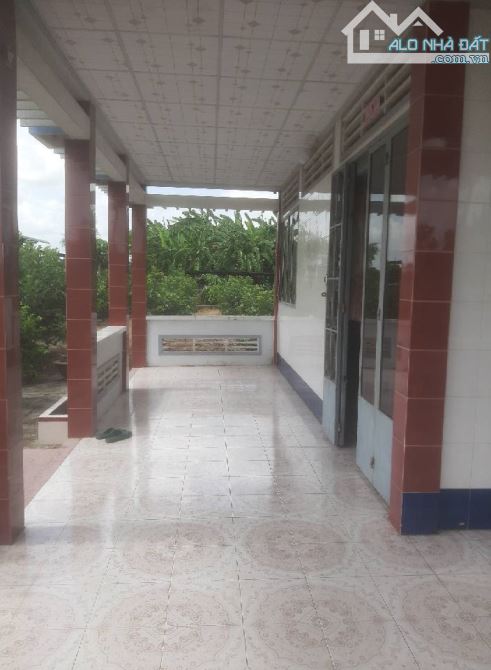 💎 Bán nhà vườn DT 2049m2 khu phố Tân Xã, Phường Long Hòa, Thành Phố Gò Công - 2