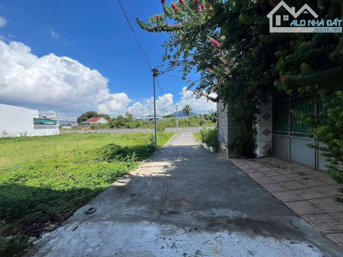 Đất Vĩnh Ngọc gần Kdt Vĩnh Điềm Trung cách đường chính Phú Nông chỉ 200m - 2