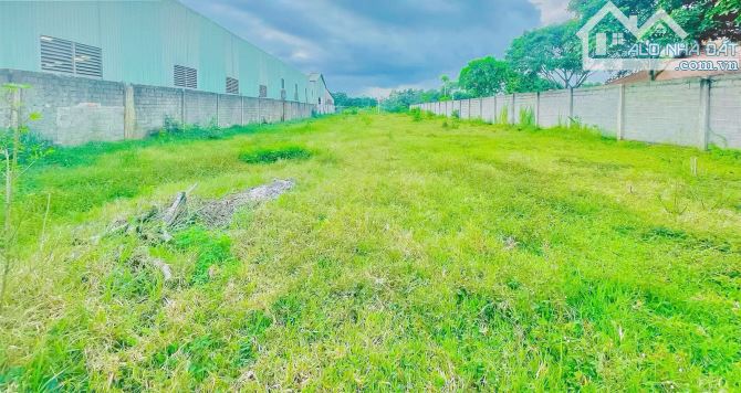 LÔ ĐẤT CỰC PHẨM 2 MẶT TIỀN SÁT BÊN THỊ TRẤN NGÃI GIAO, SẴN THỔ CƯ, GIÁ BÁN NHANH SIÊU RẺ - 2