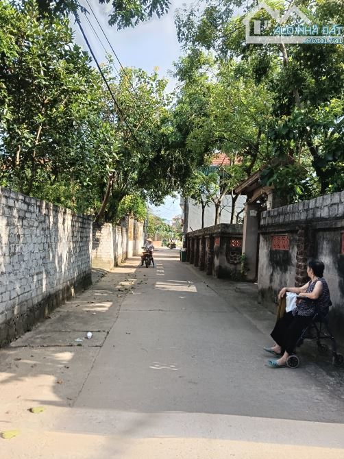 Mạnh đất giá rẻ vừa túi tiền 👉 tự nhiên -thường tín - 2