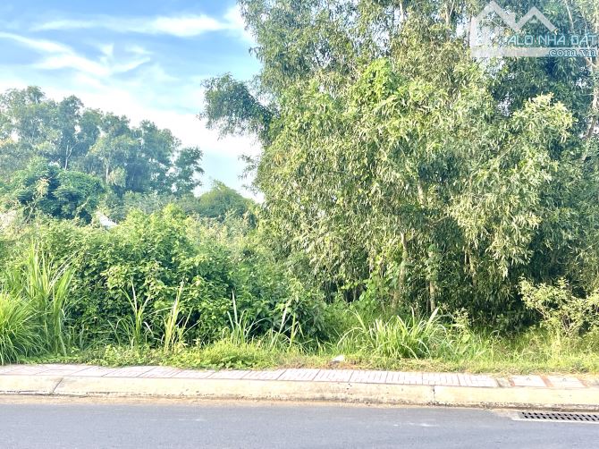 Cần bán thửa đất mặt tiền đường Lê Hồng Phong - 2