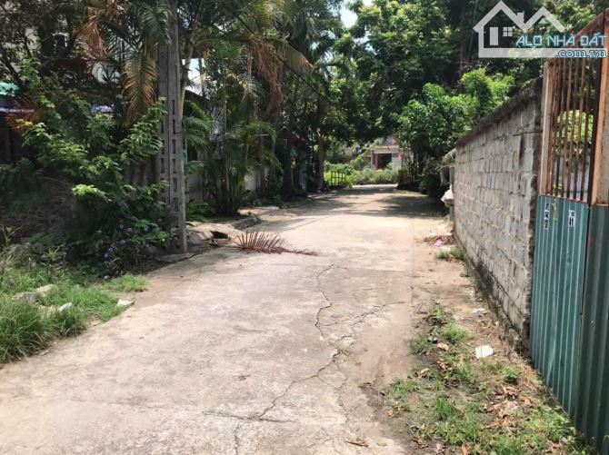 Bán gấp đất Ngọc Hồi - Duyên Thái ê ô tô tránh ,phân lô ,kinh doanh giá 9.5 tỷ - 2