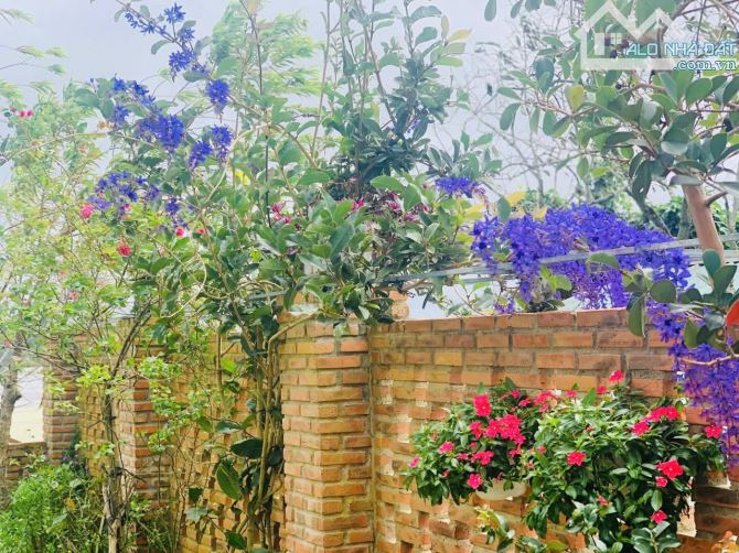 Cần bán Villa/ Biệt Thự Nhà Hẻm Xe Hơi, đường Cù Chính Lan, P.08, Đà Lạt - 28