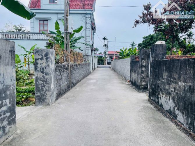 Bán đất Thấp Linh - Minh Tân - Kiến Thụy - Hải Phòng - 3