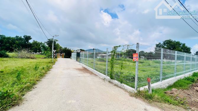 1400m2 ngang 50m thị trấn Phước Hải. cách biển 5km - 3