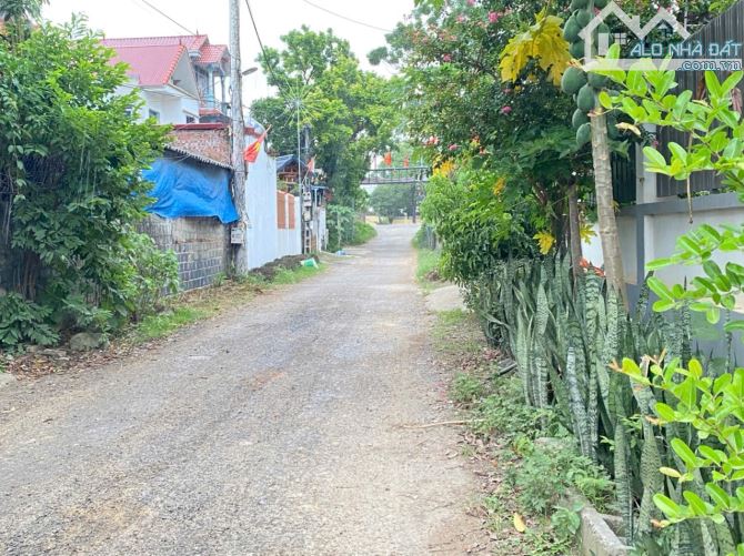 Mảnh đất 1450m2 Hoàng Văn Thụ cách đường mòn HCM 200m nhận làm full thổ cư phân lô siêu LN - 3