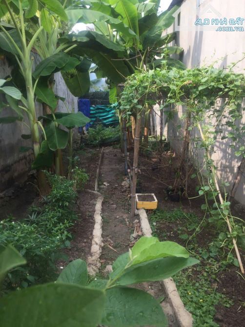 GIÁ NGỘP! BÁN GẤP DÃY TRỌ 5 PHÒNG Ở ĐƯỜNG TÂN HIỆP 7, SỔ HỒNG RIÊNG, 800TR - 3