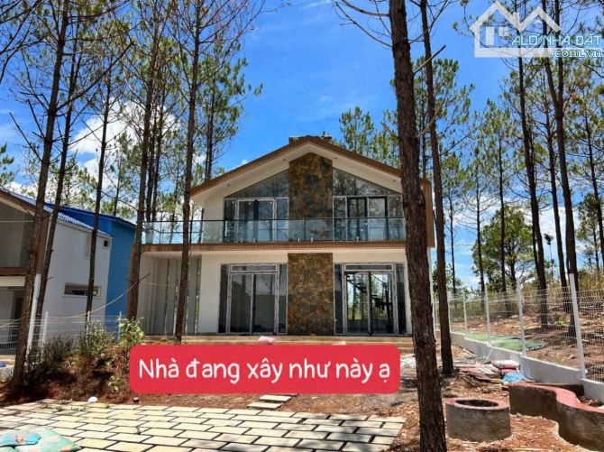 ĐẤT NGHỈ DƯỠNG GIÁP RỪNG THÔNG 15 TUỔI KHÓ TÌM ĐÂY - CÁCH ĐÀ LAT CÓ 15P - CÓ 242M2 THỔ CƯ - 3