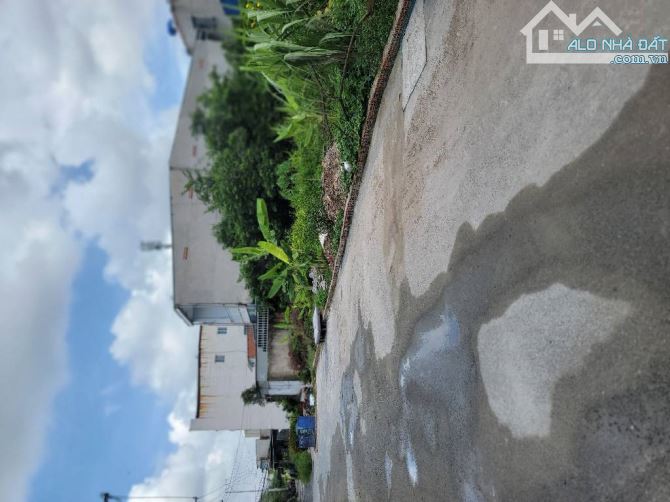 Đất Thổ Cư đường THẠNH XUÂN 37, phường THẠNH XUÂN, Q12, dt 100,4m2 (4mx25m), Hẻm Ôtô - 3
