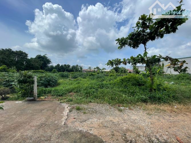chủ gửi bán lô đất đẹp tại đường nhánh bê tông, đường số 4, Tam Long – Hòa Long, Bà Rịa: - 3