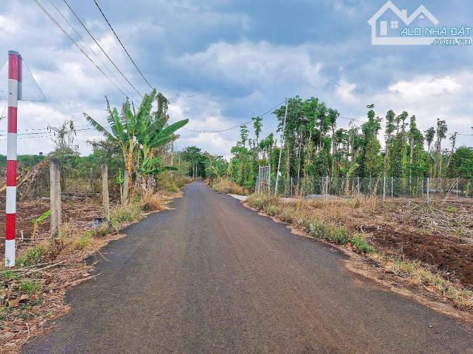 Cần bán 4.717m2, phủ hồng, mặt tiền đến 87m, sau lưng giáp suối, giá đầu tư - 3