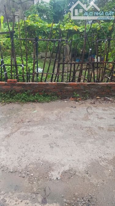 42 m đất siêu phẩm Đường yên Thư Lâm TP HÀ NỘI đường ô tô thông sát trục chính.giá tốt - 3