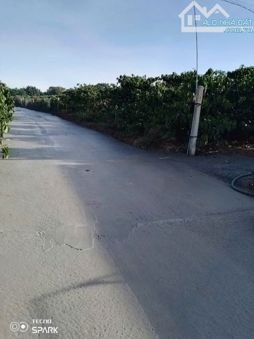 Bán gấp lô đất thổ cư với tổng diện tích 2211,3m2,giá 1,9 tỷ Gia Linh- Lâm Đồng. - 3