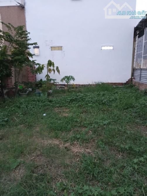 Đất Vĩnh Ngọc gần Kdt Vĩnh Điềm Trung cách đường chính Phú Nông chỉ 200m - 3