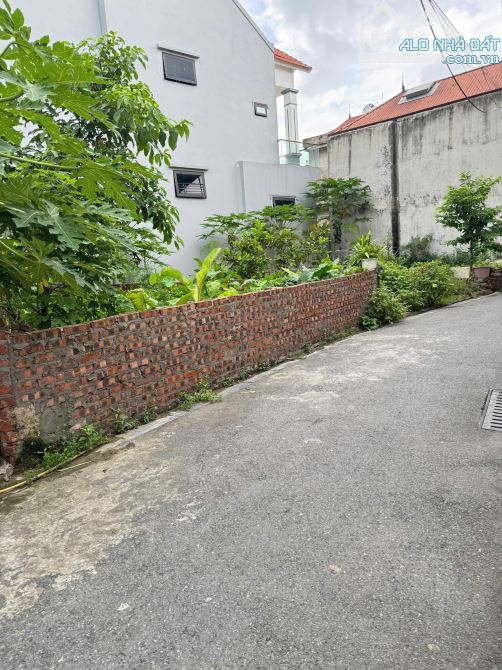 ❌❌❌ĐẤT ĐẸP MAI LÂM – 46M² Ô TÔ NGỦ TRONG ĐẤT – GẦN, GẦN CẦU TỨ LIÊN – CHỈ HƠN 4 TỶ! - 3