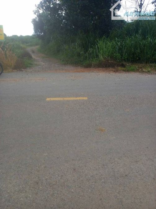 Đất thổ cư tại Đức Trọng Lâm Đồng giá chỉ 800k/m2. Gia đình cần tiền bán nhanh - 3