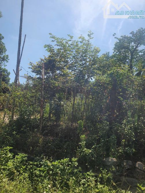 🏡 BÁN GẤP LÔ ĐẤT MẶT TIỀN ĐƯỜNG PHÙNG QUÁNG – PHƯỜNG THỦY DƯƠNG, HƯƠNG THỦY, TP. HUẾ - 3