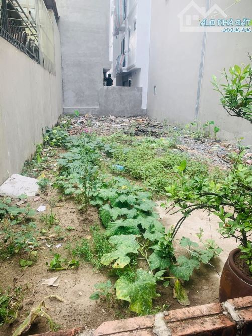 Bán 41m2 đất Ngũ Hiệp - Thanh Trì, 20m ra ô tô, gần hồ, cực thoáng mát - 3