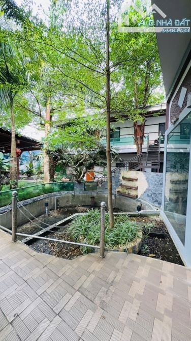 Chuyển nhượng nhà đất Đường tỉnh 311,thị trấn Hạ Hòa,Phú Thọ, hơn 1000m2 chỉ 9,7 tỷ - 4