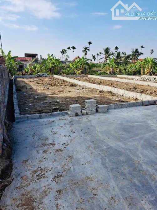 Bán đất Đoan Xá 3 - Đoàn Xá - Kiến Thụy - Hải Phòng - 4