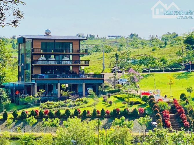 🏡 LÀNG ÔM – ĐẤT ĐẸP, GIÁ TỐT, SỔ RIÊNG TẠI BẢO LỘC 🏡 - 4