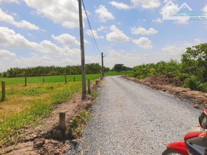 Quá rẻ, 150m2 đất thổ cư, 5 x30m, View kênh cực đẹp, 420tr - 4
