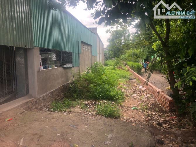 BÁN LÔ ĐẤT MẶT TIỀN QUỐC LỘ 56 – NGHĨA THÀNH, CHÂU ĐỨC đối diện khu công nghiệp - 4