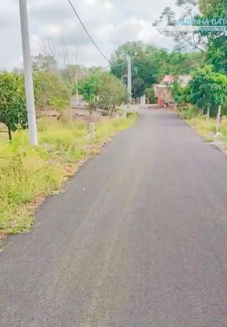 Cần bán 1 mẫu (9853m2) vườn cây ăn trái, sẵn thổ cư, 2 mặt tiền nhựa, sẵn điện nước đầy đủ - 4